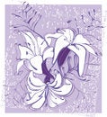 Free Lily, Flower Royalty Free Stock Images - 2190409