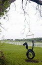 Free Tree Swing Royalty Free Stock Images - 2192609