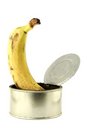 Free Banana Stock Photos - 2197613