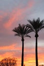 Free Vertical Mediterranean Sunrise Stock Photo - 2198520
