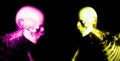 Free Human Bones 94 Royalty Free Stock Photos - 2199938