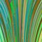Free Multicoloured Wavy Curves(3) Stock Images - 2198744