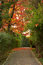 Free Colorful Alley Royalty Free Stock Image - 21933626