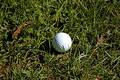 Free Ball In The Rough Stock Images - 227174