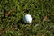Free Ball In The Rough Stock Images - 227174