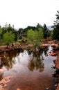 Free Spring In Arizona Royalty Free Stock Photography - 2200307