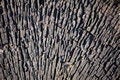 Free Wood Pattern Stock Photo - 2202190