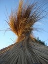 Free Straw Stock Photos - 2212053