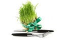 Free Treatment By A Strict Diet Royalty Free Stock Photo - 2213855