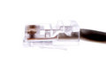 Free Network Cable Stock Photos - 2214023