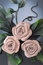 Free Genuine Leather Roses Stock Photography - 2215642