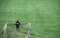 Free Goalkeeper Stock Photography - 2217962