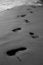 Free Foot Prints Stock Photos - 2221513