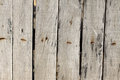 Free Batten And That Together Royalty Free Stock Image - 22208326