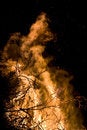 Free Flame Detail Royalty Free Stock Photos - 2231458