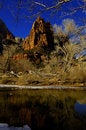 Free Zion Royalty Free Stock Photo - 2232555