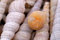 Free Shell And Snail On The Beach Royalty Free Stock Photo - 2234965