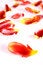 Free Tulip Leafs Royalty Free Stock Image - 2238256