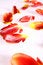 Free Tulip Leafs Stock Photos - 2238263