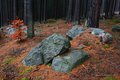 Free Stones In Forest Stock Images - 2243144