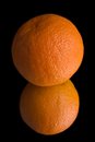 Free Orange On Mirror Royalty Free Stock Photos - 2244548
