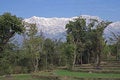 Free Rural Organic Step Farming In Himalayas India Royalty Free Stock Images - 2245569