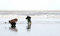 Free Fisherman And Net In Sea Royalty Free Stock Images - 2248209