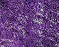 Free Wall Texture Stock Photography - 2253922