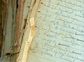 Free Vintage Recipe Pages Royalty Free Stock Images - 2254949