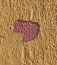 Free Wall Texture Stock Image - 2253901
