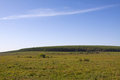 Free Grassland Landscape Stock Images - 22512364