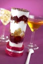 Free Natural Yogurt - Dessert Stock Photo - 2260900