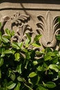 Free Sculpture And Leafs Royalty Free Stock Image - 2261646