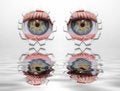 Free Eyes Through Holes Stock Image - 2268141