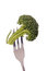 Free Broccoli On Fork Stock Image - 2260631
