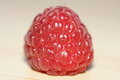 Free Raspberry Stock Photo - 2279150