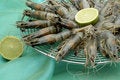 Free Shrimp Royalty Free Stock Photo - 2279905