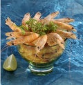 Free Shrimp Cocktail Stock Images - 2279914