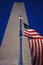 Free Pride Of The Nation Stock Photos - 2281633