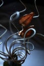 Free Spiral S Still Life Royalty Free Stock Image - 2284716