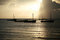 Free Dhow Sailing Boats At Sunrise Stock Photography - 2282242