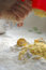 Free Ingredients For Cake Stock Photography - 2284862