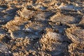 Free The Sun And Shadow. Royalty Free Stock Photography - 2291817