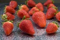 Free Strawberry Stock Photos - 2294243