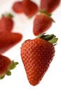 Free Strawberry Royalty Free Stock Photo - 2294265