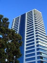 Free White Glass Building Behind Tr Royalty Free Stock Images - 2297099