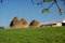 Free Hay Bundle Royalty Free Stock Image - 2294136