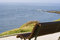 Free Cantabrian Coast Stock Photo - 2294720