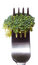 Free Broccoli On Fork Stock Image - 22931191