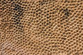 Free Rock Pattern Royalty Free Stock Photo - 233205
